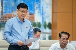 Chủ nhiệm Ủy ban Kinh tế: Tồn tại tình trạng thiếu năng động, sợ trách nhiệm