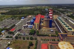 Phân bón Cà Mau đồng hành gia tăng lợi ích nhà nông