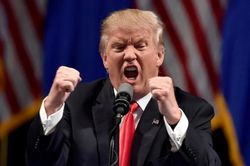Bị xác định lạm dụng tình dục, ông Trump có thể tranh cử tổng thống?