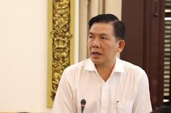 Hơn 100 cây xanh trước cửa ngõ Tân Sơn Nhất có thể bị di dời