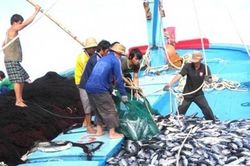 Bến Tre thực hiện nghiêm kế hoạch chống khai thác IUU