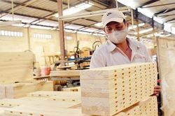 Xuất khẩu gỗ, sản phẩm gỗ giảm mạnh, khó hồi phục trong năm nay