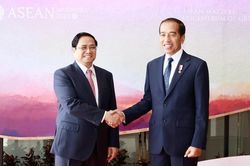 Tạo động lực, đưa quan hệ Đối tác chiến lược Việt Nam-Indonesia lên tầm cao mới