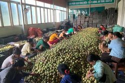 'Đầu tàu' trong hành trình giảm nghèo ở Bảo Lâm