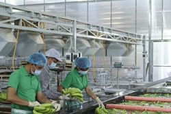 Doanh nghiệp 'khát' vốn, nhà băng thừa tiền nhưng không dám hạ chuẩn tín dụng