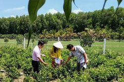 Vốn tín dụng chính sách xã hội kịp thời đến các đối tượng thụ hưởng