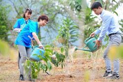 Đắk Nông: Dự kiến sẽ trồng hơn 163.000 cây xanh mừng ngày sinh nhật Bác