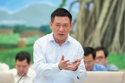 Bộ trưởng Bộ Tài chính: Tình trạng gian lận, trốn thuế còn diễn biến phức tạp