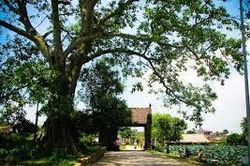 Gìn giữ và phát huy giá trị văn hóa làng xã Việt Nam trong công cuộc xây dựng, phát triển đất nước