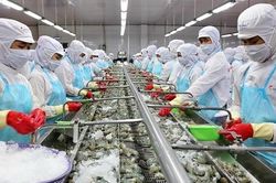 Áp dụng phòng vệ thương mại trong Hiệp định EVFTA và UKVFTA