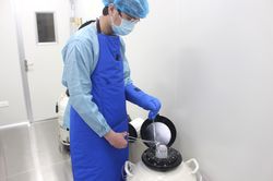 Chưa muốn lập gia đình và sinh con có nên trữ trứng?