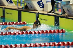 Giành thêm 16 HCV, Việt Nam tiếp tục dẫn đầu SEA Games 32