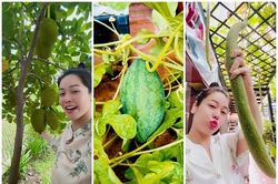 Vườn cây trái sum suê trong biệt thự 20 tỷ của Nhật Kim Anh