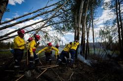 Công ty của Australia đạt thỏa thuận thăm dò dầu khí Uganda trong 4 năm