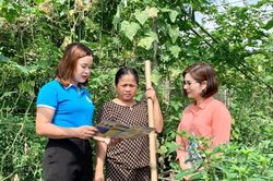 Tham gia bảo hiểm xã hội tự nguyện: Nông dân cũng có lương hưu