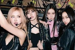Mua 2 vé xem BLACKPINK nhưng chỉ có một chỗ ngồi, khán giả đòi kiện hơn 5 tỷ đồng
