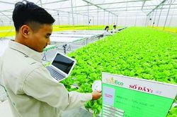 Bài học kinh tế nông nghiệp Trung Quốc