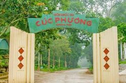 Khám phá những bí ẩn rừng nguyên sinh tại bảo tàng Cúc Phương