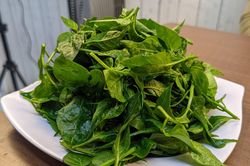 Lá ớt có tác dụng gì?