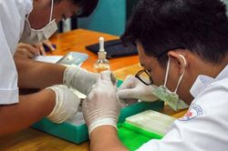 Học sinh hào hứng tham gia ngày hội khoa học