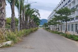 Đà Nẵng: Cỏ dại ngập lối dãy shophouse tiền tỷ ở 'đảo ngọc'