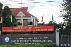 Công ty TNHH MTV Cao su Mang Yang đóng góp không nhỏ cho sự phát triển của tỉnh Gia Lai