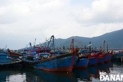 Chuẩn bị đón và làm việc với Đoàn Thanh tra EC lần 4 về chống khai thác IUU