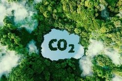Thúc đẩy thị trường tín chỉ carbon