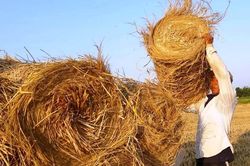Nắng nóng kéo dài ở miền Bắc diễn ra thế nào?