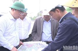 Quảng Nam tập trung tháo gỡ khó khăn cho doanh nghiệp