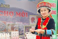 Giảm nghèo nhờ sản xuất trà hoa hồng theo hướng hữu cơ