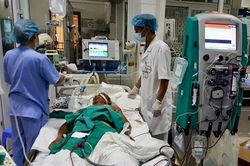 Thêm 2 người tử vong vì liên cầu lợn ở Hà Nội