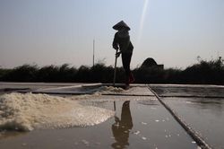 Đẹp mê hồn cảnh vựa muối lớn nhất miền Bắc tất bật vào mùa thu hoạch