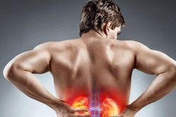 Bác sĩ cảnh báo: Làm 2 việc này thường xuyên, chắc chắn thận sẽ chịu không nổi