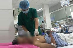 Sau vài ngày giết mổ lợn, người đàn ông sốt cao rét run rồi bất ngờ tử vong