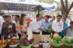 Giảm nghèo bền vững ở vùng đệm U Minh Thượng từ 'bệ phóng' HTX