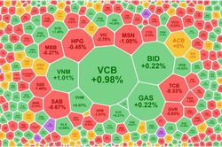 VN-Index 'xanh vỏ đỏ lòng', cổ phiếu HNG bất ngờ tăng trần