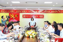 Giám sát công tác cải cách hành chính, xây dựng chính quyền điện tử và chuyển đổi số