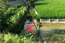 Dùng diện bẫy chuột ở ruộng làm hàng xóm tử vong, người đàn ông huyện Ninh Giang nhận án 18 tháng tù