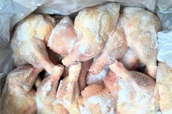 Mỗi tháng có hàng chục nghìn tấn gà thải loại nhập lậu vào Việt Nam