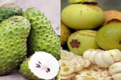 Vì sao mãng cầu, măng cụt xanh tăng giá liên tục vẫn 'cháy hàng' ở Hà Thành?
