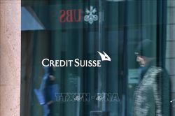 UBS ước tính thiệt hại tài chính 17 tỷ USD do sáp nhập với Credit Suisse