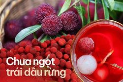 Loại quả đặc biệt tồn tại qua 3.000 năm, ăn vừa ngon vừa mang lại làn da tươi trẻ