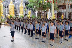 Hòa thượng Thích Chơn Không kêu gọi Phật tử trang hoàng Phật đản tại tư gia và các hoạt động khác