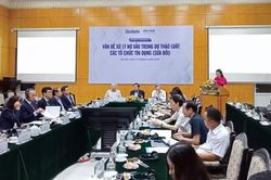 Chuyên gia đề cập nhiều vấn đề về xử lý nợ xấu