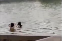 Lập biên bản vi phạm đối với 2 thanh niên 'tắm tiên' tại hồ Hoàn Kiếm