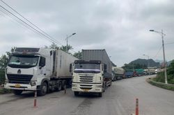 Vì sao kim ngạch xuất khẩu nông, lâm, thủy sản giảm?