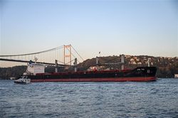 Ukraine hoan nghênh việc gia hạn Sáng kiến ngũ cốc Biển Đen