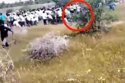 Thót tim nhìn báo hoa mai lao vào tấn công người dân