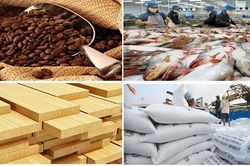 Vì sao xuất nhập khẩu nông lâm thủy sản lao dốc?